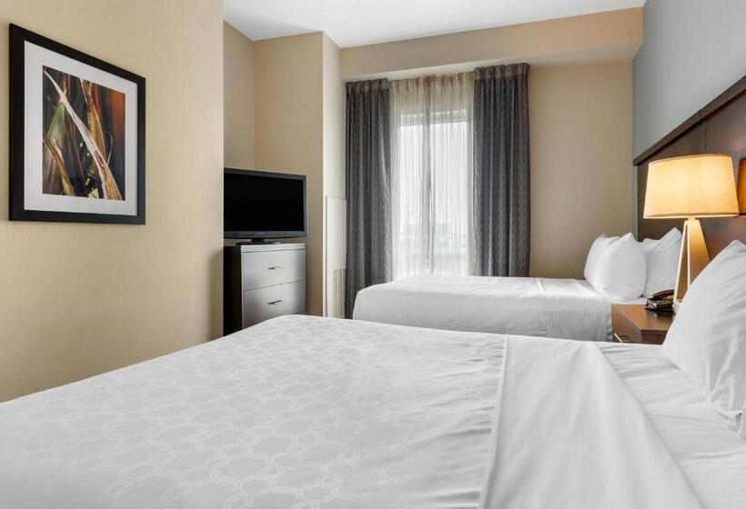 Люкс, Staybridge Suites St. Petersburg Fl, An Ihg