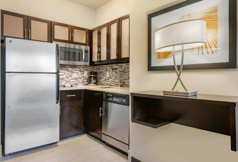 Номер Стандарт, Staybridge Suites St. Petersburg Fl, An Ihg