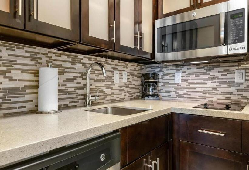 Номер Стандарт, Staybridge Suites St. Petersburg Fl, An Ihg