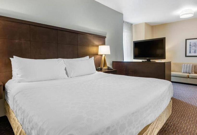 Студио Стандарт Кровать Кинг, Staybridge Suites St. Petersburg Fl, An Ihg