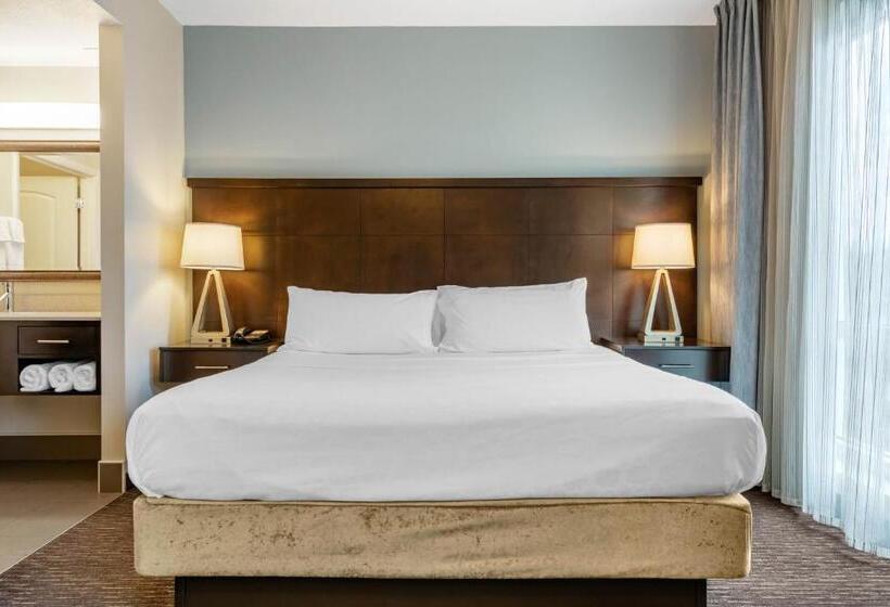 Номер Стандарт, Staybridge Suites St. Petersburg Fl, An Ihg