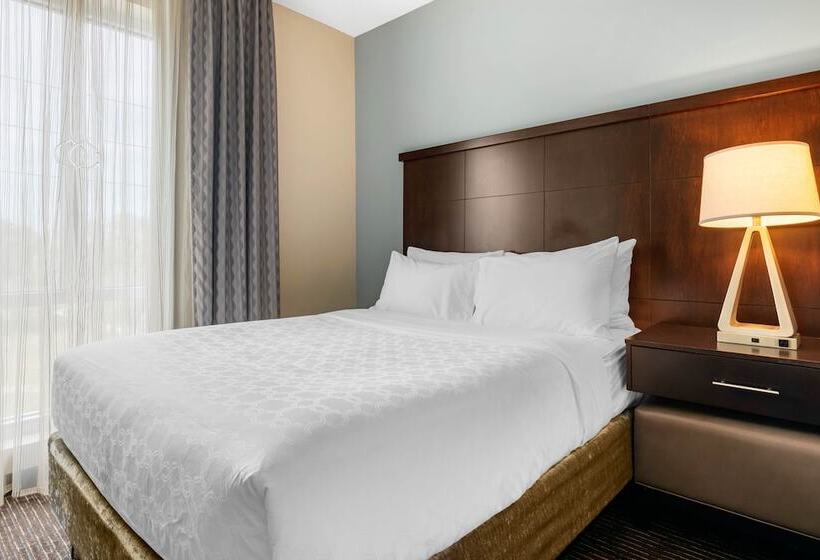Люкс, Staybridge Suites St. Petersburg Fl, An Ihg