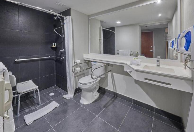 Номер Стандарт, City Express By Marriott Irapuato Norte