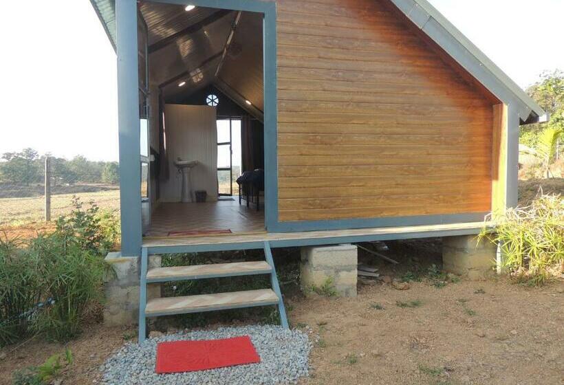 四人标准间, Room In Farmhouse   Dandeli   Aura Jungle Stay