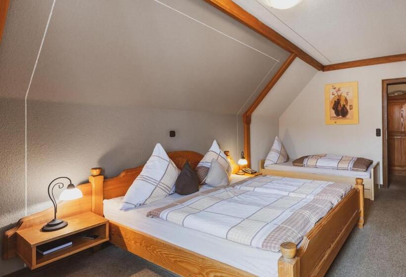 Номер Стандарт Трехместный, Fremden  Und Monteurzimmer Zum Ochsen