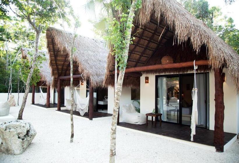 デラックススイート, Magic Xcacel Tulum