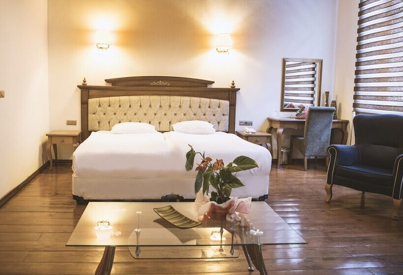 غرفة قياسية, Thrace Konak Hotel & Spa