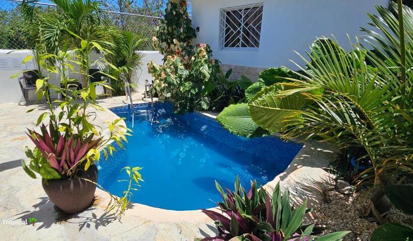 Номер Deluxe, Unique And Quiet Apartments La Botánica Tropical