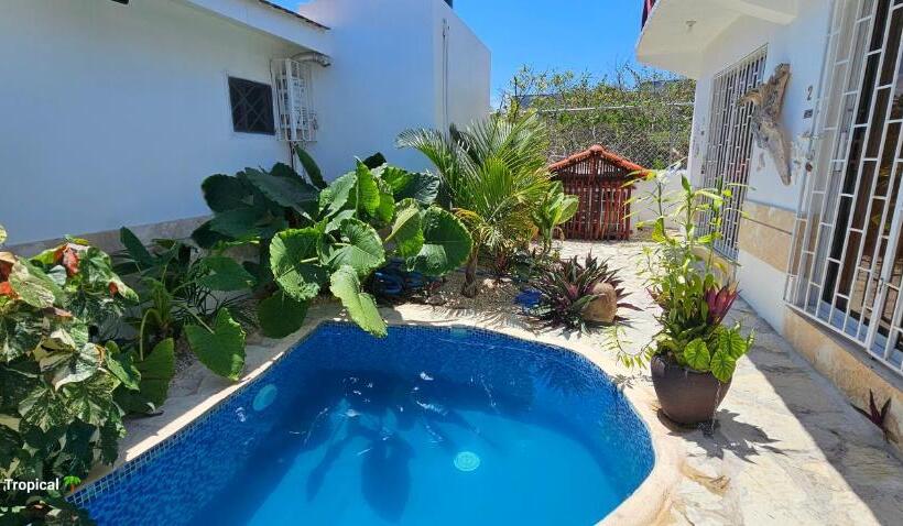 Номер Deluxe, Unique And Quiet Apartments La Botánica Tropical