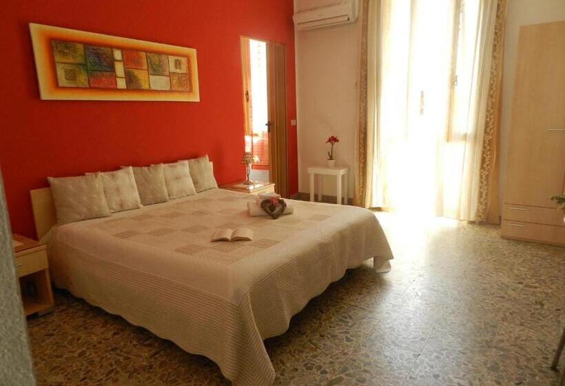 اتاق استاندارد, Actinia Accommodation