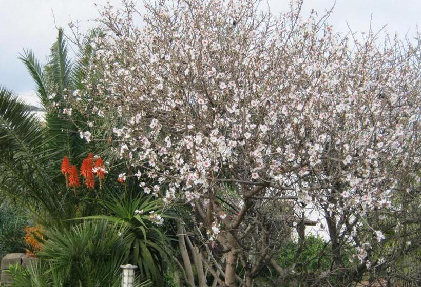 آپارتمان 2 خوابه, Resort La Casa Dei Fiori