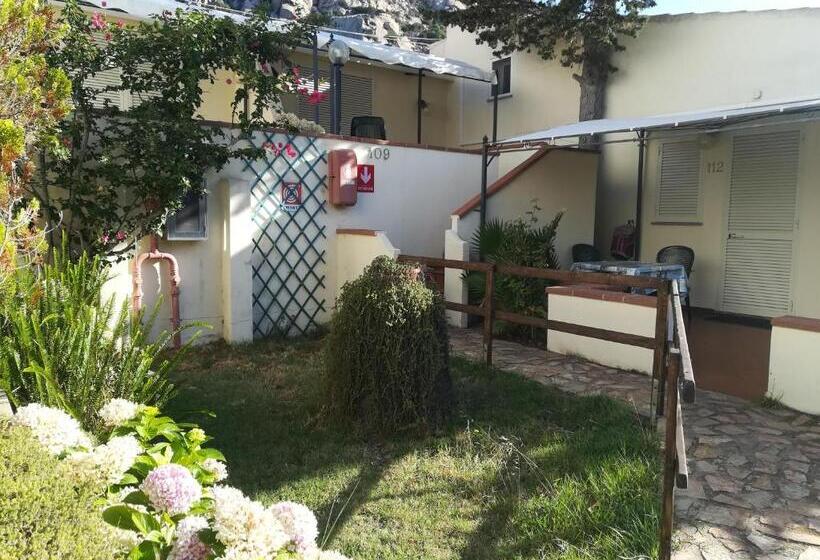 استودیوی استاندارد, Nido D'aquila