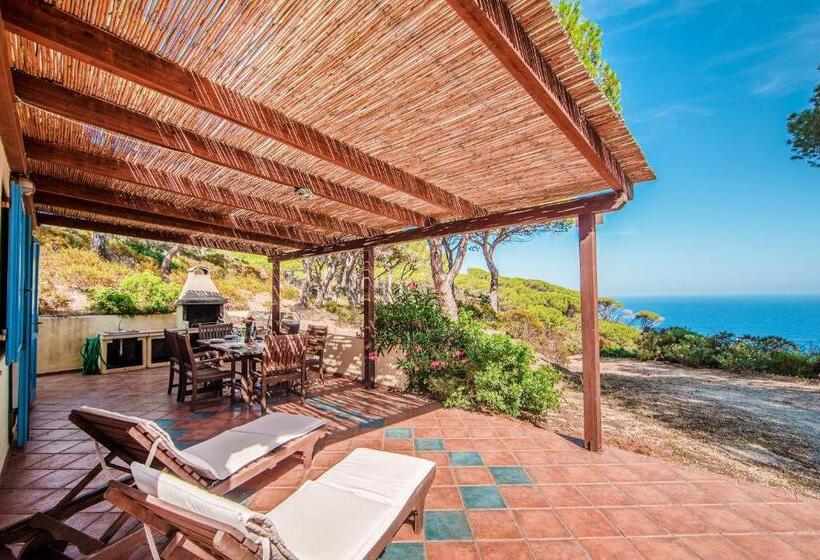 Вилла 1 Спальня Вид на Море, Tenuta Delle Ripalte