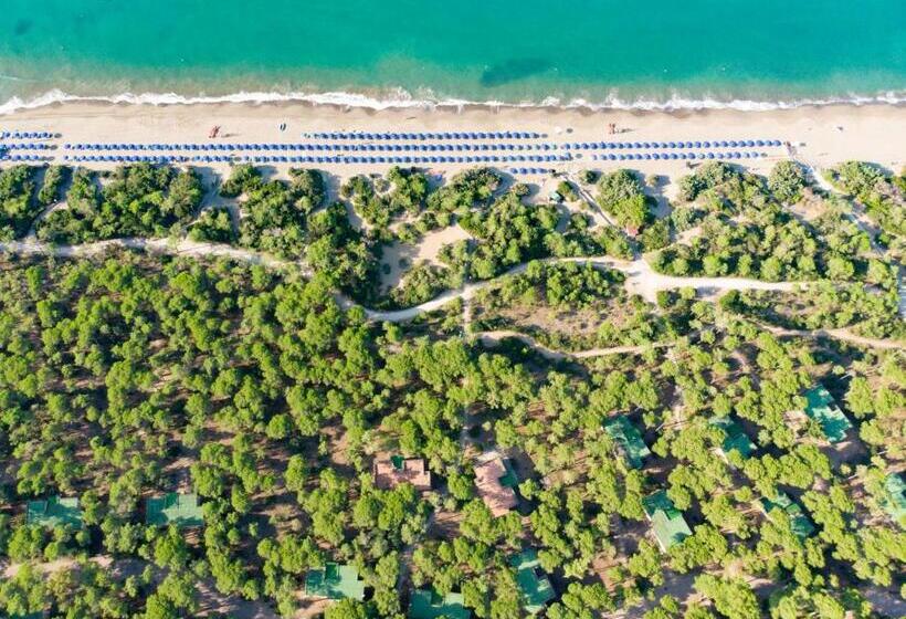 デラックスビラの１ベッドルーム, Riva Del Sole Resort & Spa