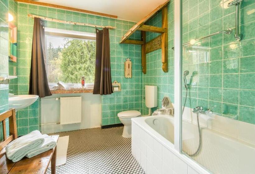 اتاق استاندارد با سرویس بهداشتی مشترک, Zur Schönen Aussicht Hotel Garni