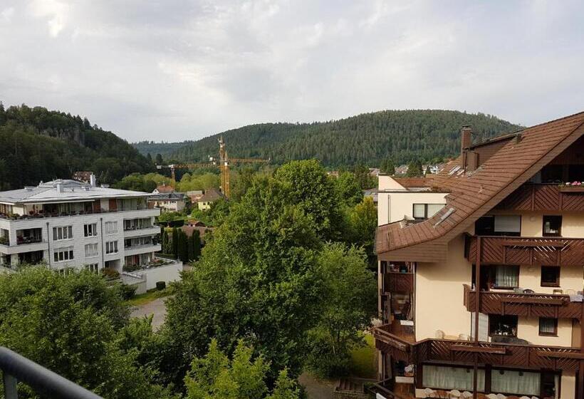 Люкс Сеньор, Nashira Kurpark Hotel  100 Prozent Barrierefrei