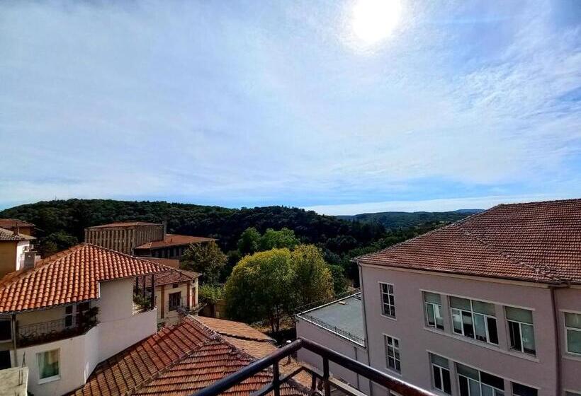 اتاق استاندارد با بالکن, Tarnava