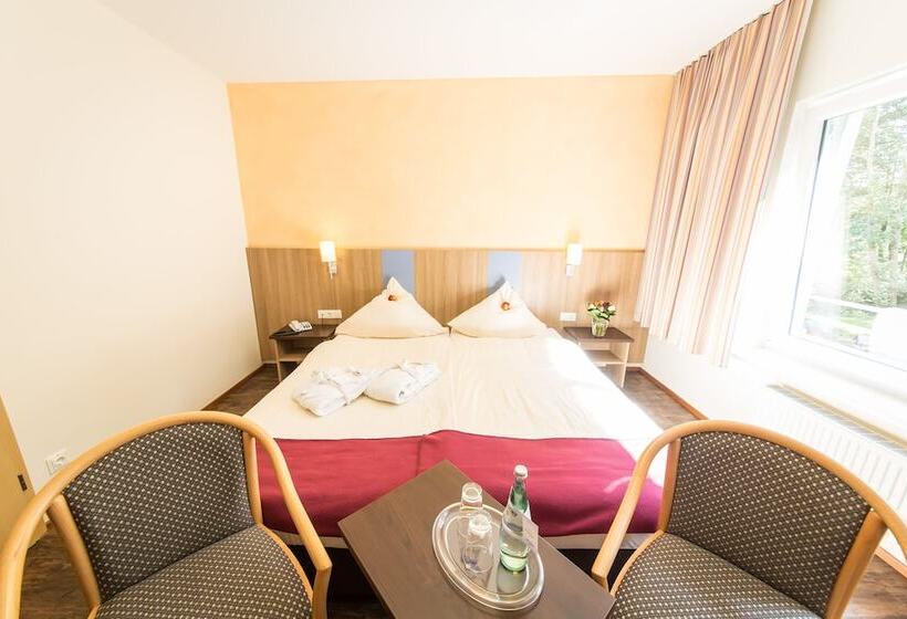 Номер Superior Одноместный, Waldhotel Felschbachhof
