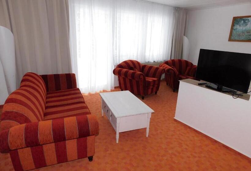 Апартаменты 3 Спальни, Waldhotel Rennsteighöhe