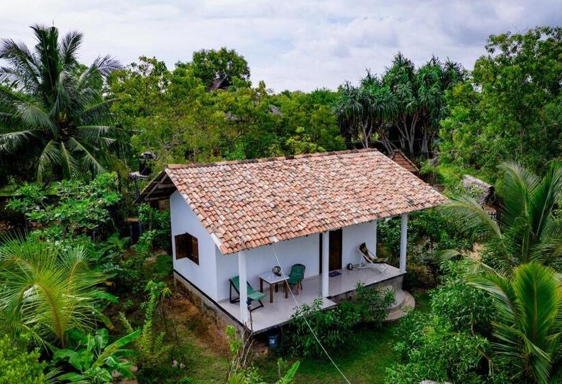 豪华房间, Mermaid Cabana And Tree Houses