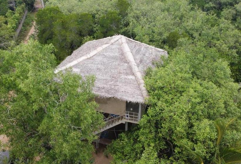带阳台的豪华间, Mermaid Cabana And Tree Houses