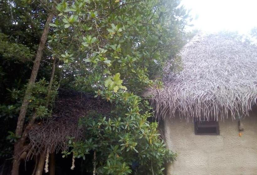 标准间, Mermaid Cabana And Tree Houses