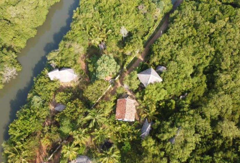 标准间, Mermaid Cabana And Tree Houses