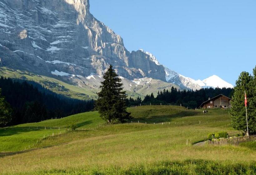 Номер Стандарт, Aspen Alpine Lifestyle