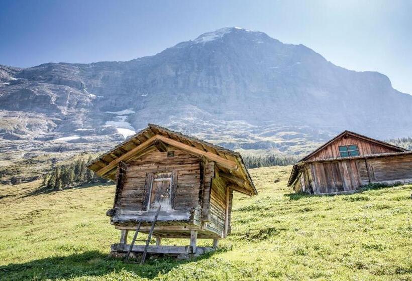سوئیت دولوکس با چشم‌انداز, Aspen Alpine Lifestyle