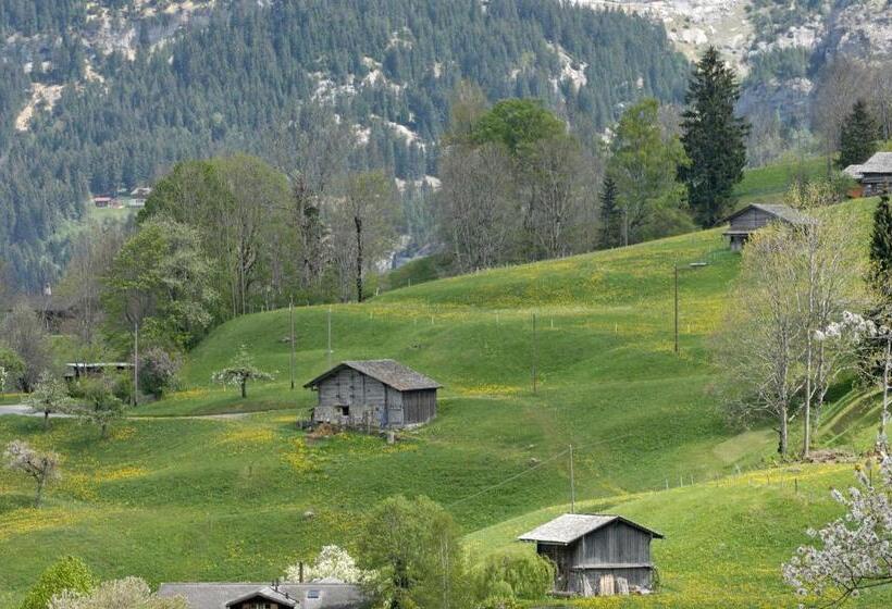 Deluxe люкс с видом, Aspen Alpine Lifestyle