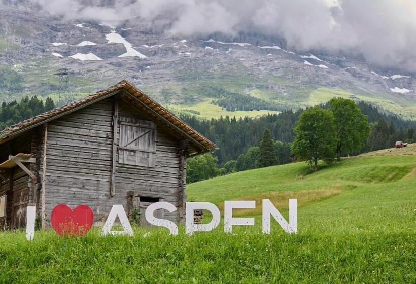 سوییت با چشم‌انداز کوه, Aspen Alpine Lifestyle