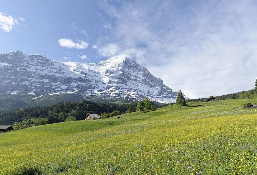 Номер Стандарт, Aspen Alpine Lifestyle