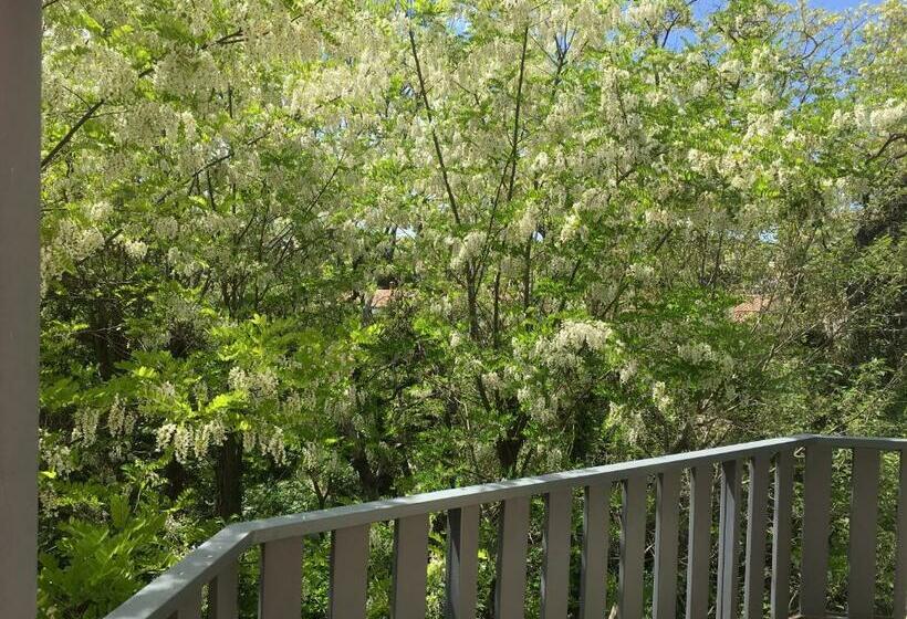 스탠다드 룸, Bel Alp Manosque