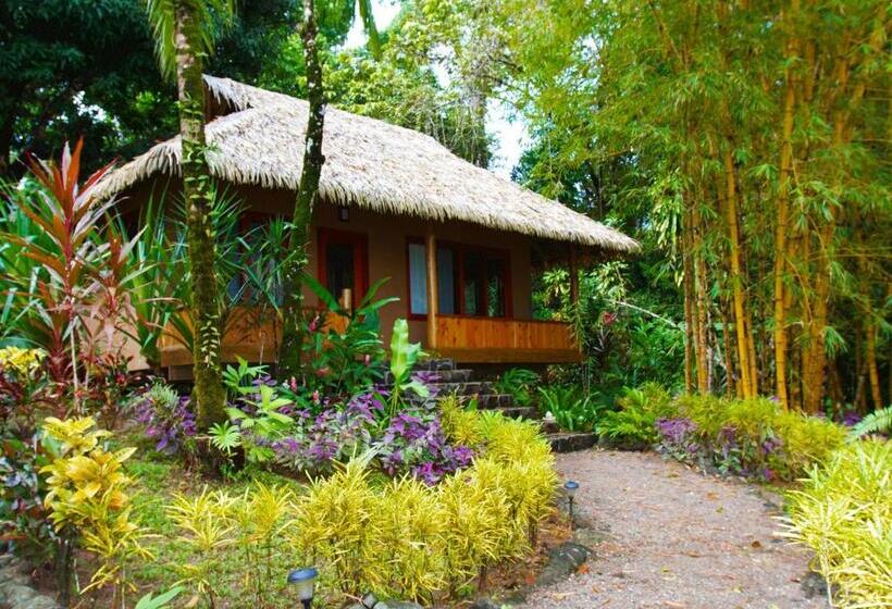 Номер Стандарт, Copa De Arbol Beach & Rainforest Resort