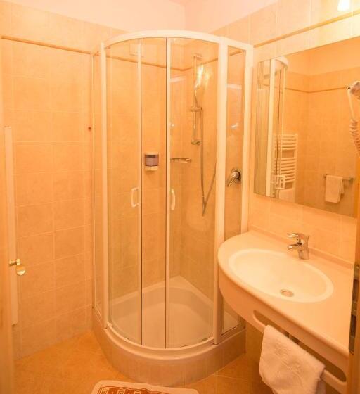 Номер Стандарт, Goldenes Roessl Adults Only