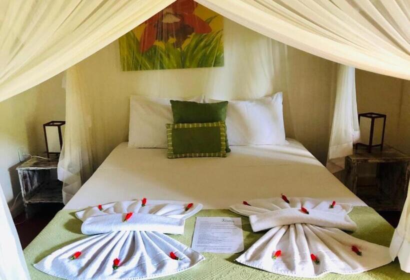 سوئیت راحتی, Pousada Jardim Das Margaridas