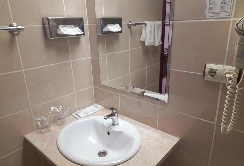 اتاق استاندارد با تخت بزرگ, Aquastar Danube