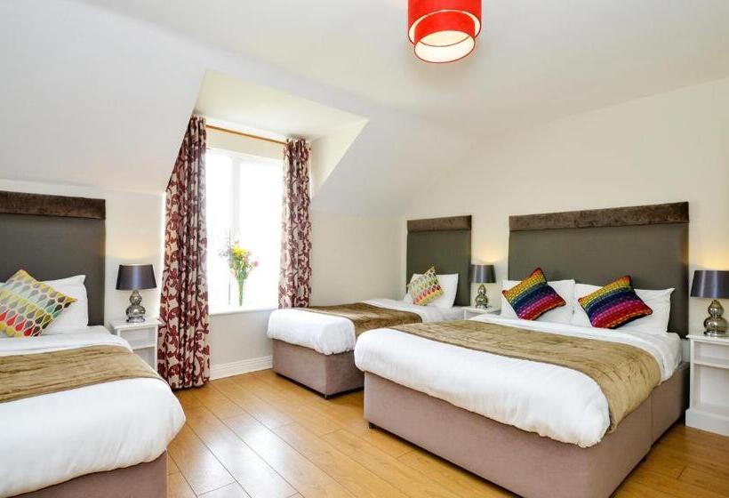 Номер Стандарт Трехместный, Dingle Harbour Lodge B&b
