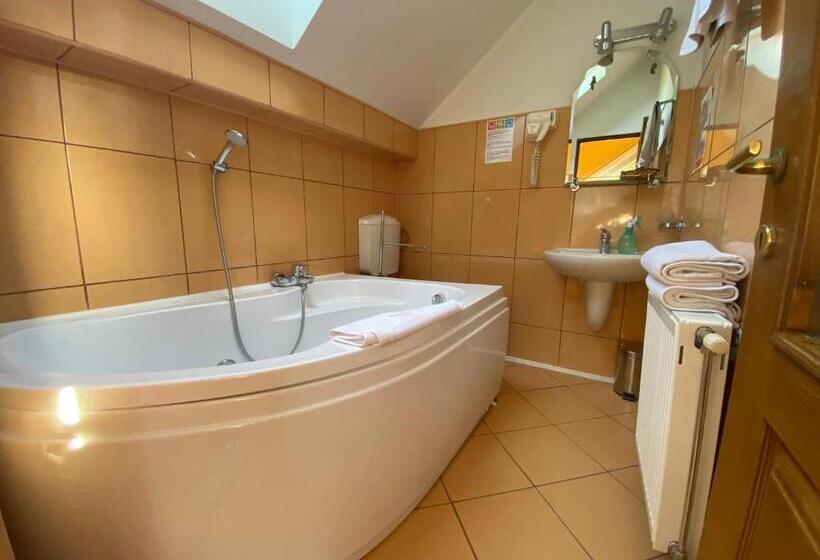 带1个卧室的别墅, Pensiunea Crocus   Sauna & Billiard