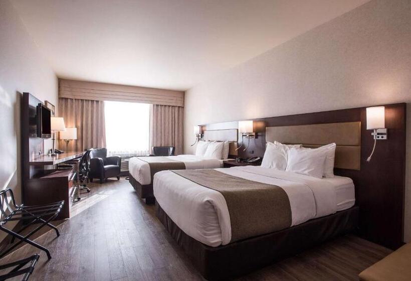 Номер Стандарт, Quality Inn & Suites