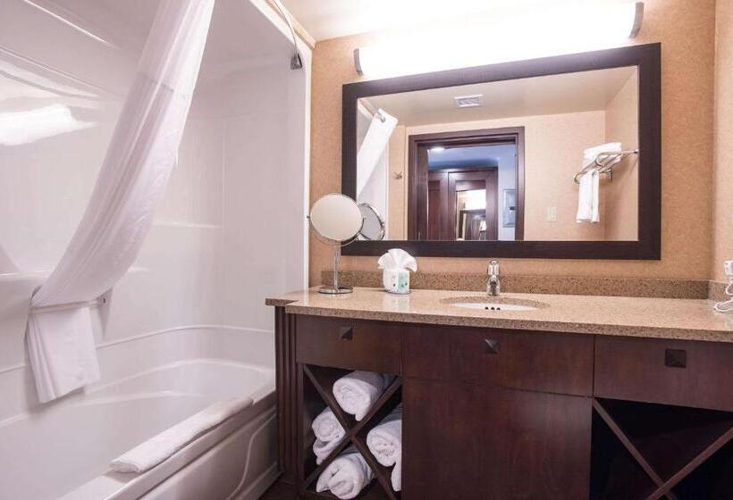 Люкс, Quality Inn & Suites