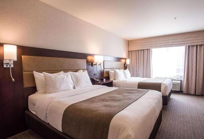 Люкс, Quality Inn & Suites