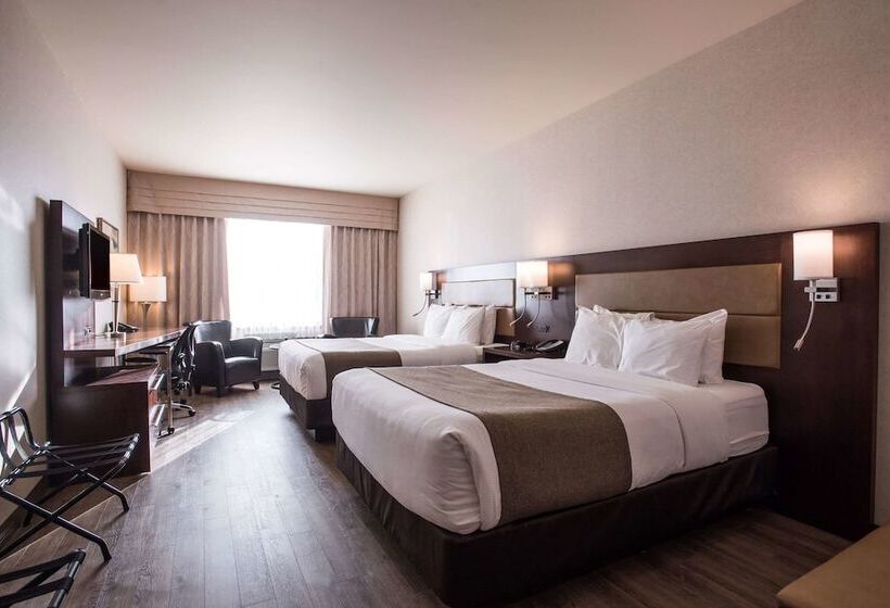 Люкс, Quality Inn & Suites
