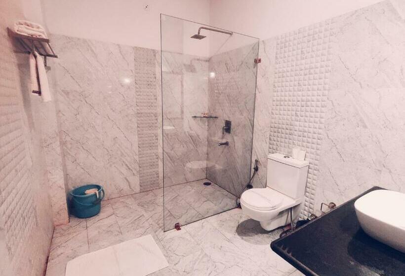 غرفة ديلوكس, Raj Palace Resort