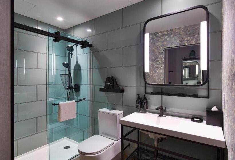 اتاق استاندارد با تخت بزرگ, Indigo Nyc Financial District, An Ihg