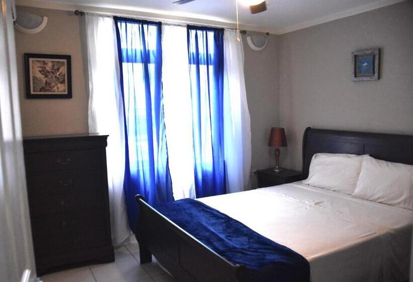 آپارتمان 2 خوابه, The President Room 5 Minutes To Devon House 6 Strathairn Avenue Kingston