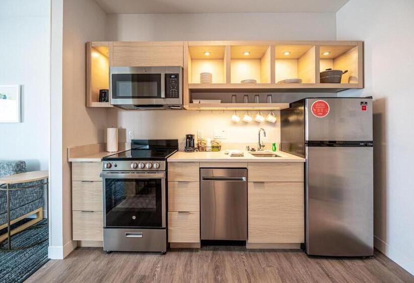 سوییت, Towneplace Suites By Marriott Las Vegas North I15