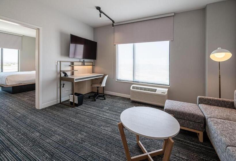 سوییت, Towneplace Suites By Marriott Las Vegas North I15