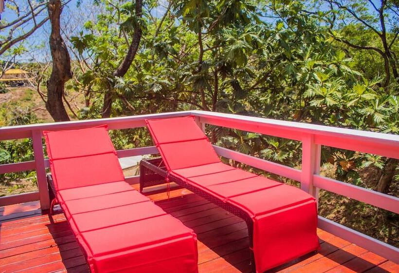 سوییت با چشم‌انداز باغ, And Dive Center Roatan Yacht Club