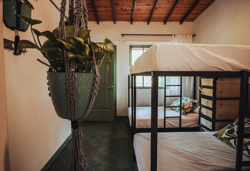 패밀리 룸, Centro Hostel Medellin